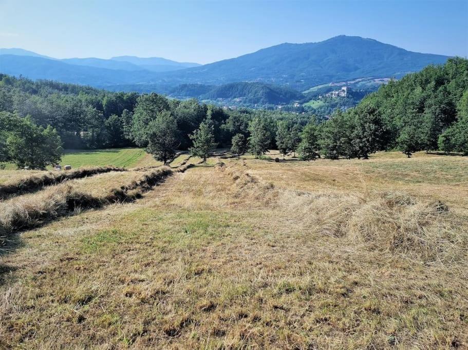 Appartamento Oasi Di Pace Nella Val Di Taro Compiano Esterno foto