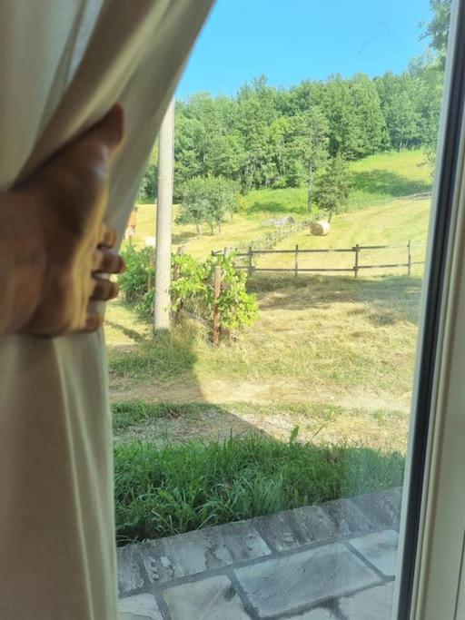 Appartamento Oasi Di Pace Nella Val Di Taro Compiano Esterno foto